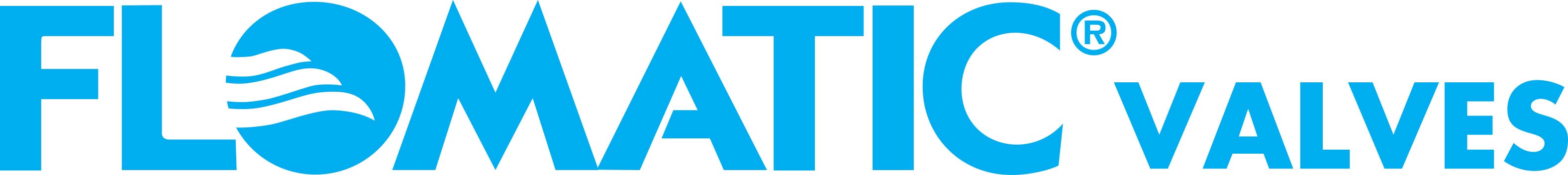 FLOMATIC