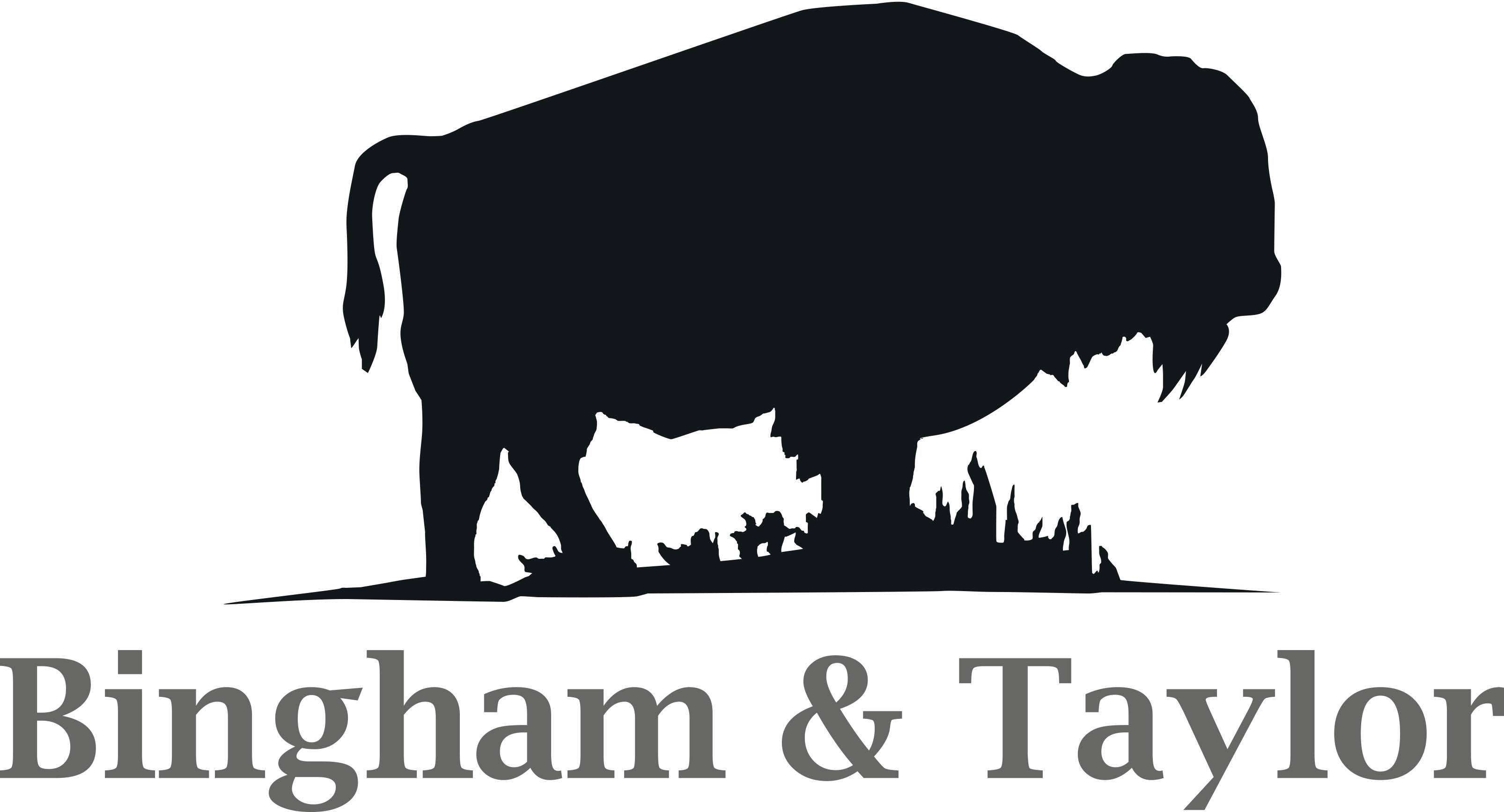 BINGHAM & TAYLOR CORP